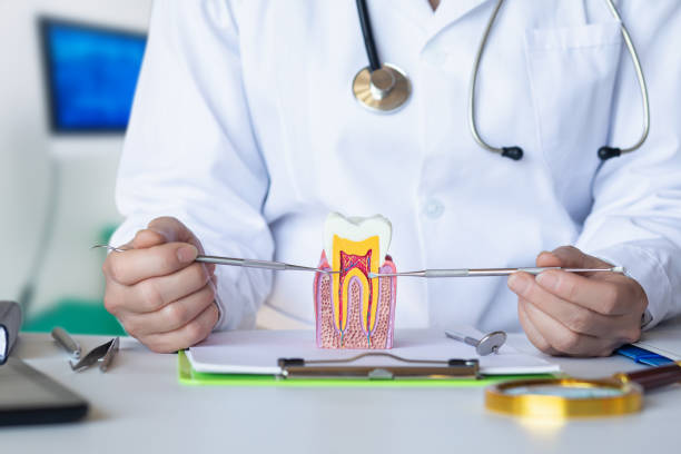 Best Emergency Orthodontic Repairs in Wickerham Manor Fisher, PA